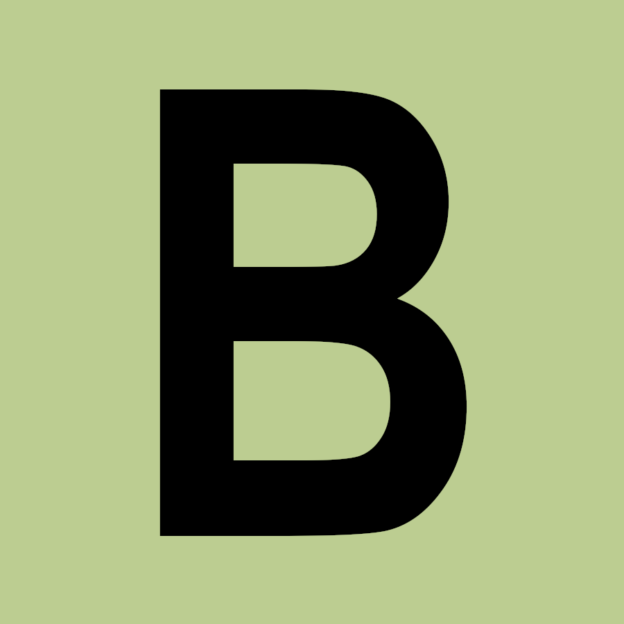 Piktogramm Begleitperson (Buchstabe B)